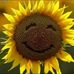 Daniel Fahs - Facebook