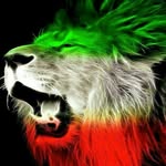 daniel - @daniel.fakouri - Instagram