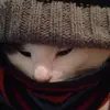 Danielle Falardeau - @daniellefalardeau - TikTok