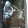 Danielfalero27 - @danielfalero24 - TikTok