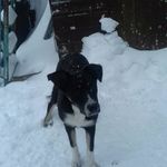 Daniel Fallows - @daniel____fallows - Instagram