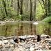 Daniel Ridge Falls - Facebook