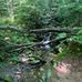 Daniel Ridge Falls - Facebook