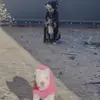 Daniela Falteri - @daniela.falteri - TikTok