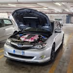 Daniel Falzone - @daniel_not_subie - Instagram