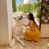 danielafalzone977 - @danielafalzone977 - TikTok