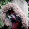 yobbyzee twin254 - @danielfantom387 - TikTok