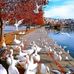 Daniel Fanuel - Facebook