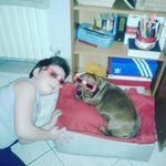 daniel faraci - @faracidaniel - Instagram