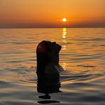 Daniel Farfán - @daniel.farfan19 - Instagram