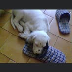 Daniele Farinella - Facebook