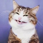 Daniel Fariss - @daniel61654 - Instagram
