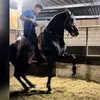 _daniellalfaro - @_daniellalfaro - TikTok