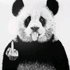 DANIEL ACOSTA FAURE - @user2033485461473 - TikTok