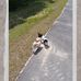 Daniel Fausel - Facebook