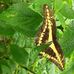 Daniel Fauth - Facebook