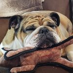 Danielle Swanson Feagins - @danielle_feagins - Instagram