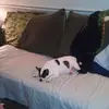 Sharon Fears Daniel - @sharonfearsdaniel - TikTok