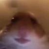 Daniel Fedko207 - @user7359873239018 - TikTok