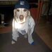 Daniel Fehrenbach - Facebook