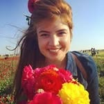 Daniel Feigenbaum - @feigenbaumdaniel - Instagram