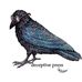 Danielle Feige - Facebook