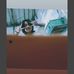 Daniel Feil - Facebook