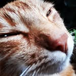 Feil Daniel - @danielfeil - Instagram