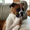 dsfeitelberg - @dsfeitelberg - TikTok