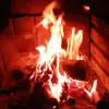Daniel - @feuerdaniel112 - TikTok