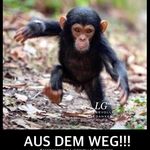 Daniel Weingartner - @danielfeuer - Instagram