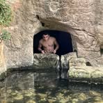 Dan Findling - Facebook