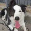 Daniel Fini - @daniel.fini6 - TikTok