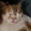 danielfink - @daniel.finkel - TikTok