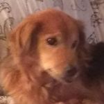 Daniel Finney - @daniel.finney.5623 - Instagram