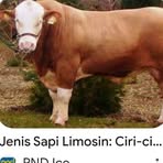 Daniel Firman - Facebook
