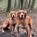 Daniel Firth - @dan.f.william - Instagram