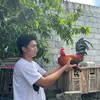 Daniel Fitt'z Trinidad Famorca - @daniel.fittz.trin - TikTok