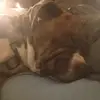 Danielle Flagg - @danielleflagg0 - TikTok