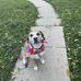 Daniel Flagler - Facebook