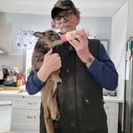 Daniel Flahive - @danielflahive - Instagram
