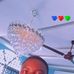 Daniel Flazz - Facebook
