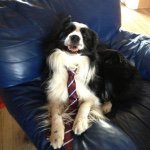 Daniel Fleetwood - @farmerdan1234 - Instagram