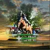 Daniel Fleig - @danielfleig - TikTok