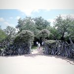 Daniel Fleischer - @danielcraihfleischer - Instagram