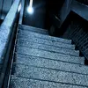 daniellovesphotography - @danielfleischer5 - TikTok