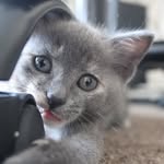 Daniel Flewelling - @danielflewelling50 - Instagram