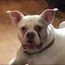 Daniel Florance - Facebook