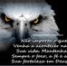 Daniel Floriani - Facebook