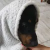 Daniel Floriani da Silva - @daniel.floriani.d - TikTok